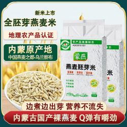 蒙燕 燕麦米胚芽米 真空独立包装 免淘洗食用