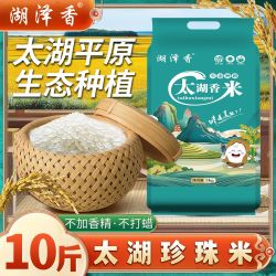 湖泽香 太湖大米珍珠米 10斤 2025新米