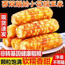 版纳香糯小玉米苞谷儿童早餐代餐新鲜甜糯玉米真空非转基因玉米