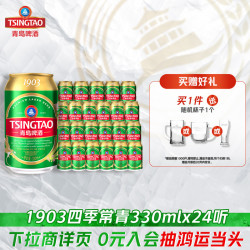 青岛啤酒 经典10度啤酒