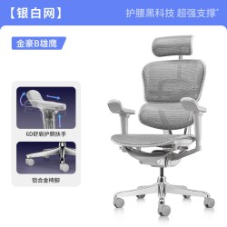 Ergonor 金豪B 2代 人体工学电脑椅 银白色 美国网款