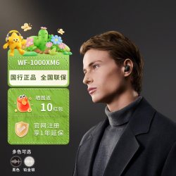 索尼 WF-1000XM6 双芯降噪 真无线耳机