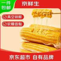 京鲜生 东北黄糯玉米 260g*10棒 真空包装