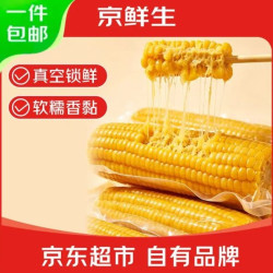 京鲜生 东北黄糯玉米 260g*10棒 真空包装