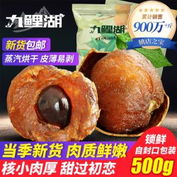 九鲤湖 农家桂圆干 500g