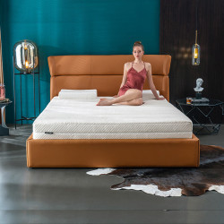 SleepHero 荷兰原装特拉雷+泰国乳胶床垫拼装  93%乳胶含量 1.8米2米25cm厚