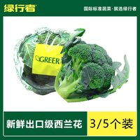 绿行者 新鲜采摘西兰花新鲜出口级青花菜西兰花菜花新鲜1700g