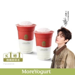 茉酸奶 【买一送一丨新品尝鲜】杨梅碎碎冰
