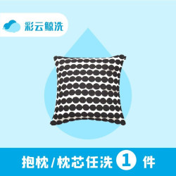 抱枕/枕芯任洗1件（全城免费取送）