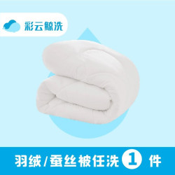 羽绒/蚕丝被任洗1床（全城免费取送）