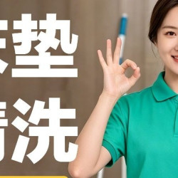 1.5*2米以内清洗/吸尘去渍