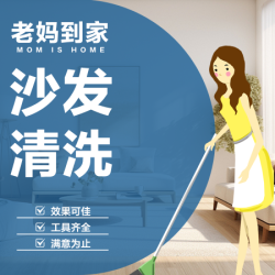 真皮保养护理·高温清洗*2座起