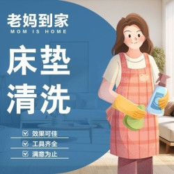深度清洁/除螨/尿渍去异味