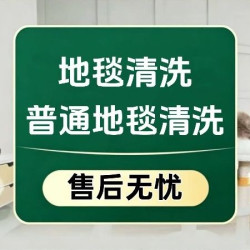 10㎡客厅地毯清洗/地毯上门清洗