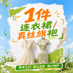 1件连衣裙/真丝旗袍清洗免费上门取送