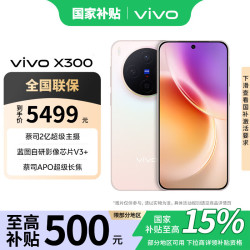 vivo X300 5G 手机 幸运彩 12GB 512GB