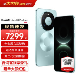 华为 Mate 80 Pro Max 手机 16GB+512GB 极光青
