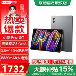 联想 小新Pad Pro GT 骁龙8Gen3 12GB+256GB 信丰灰 平板电脑