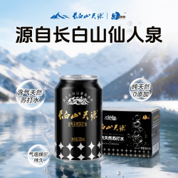 长白山天源 气泡水 天然苏打水 330ml*24瓶