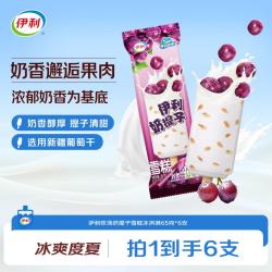 伊利 牧场奶提子雪糕 65g*6支