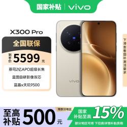 vivo X300 Pro 5G手机 12GB+256GB 旷野棕