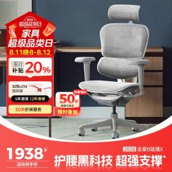 Ergonor 金豪B 2代 人体工学电脑椅 银白色 美国网款