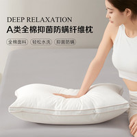 水星家纺 出品百丽丝家纺  抗菌防螨枕芯 一对 48cm ×74cm