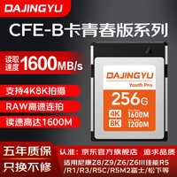 DAJINGYU 大鲸鱼cfexpress存储卡 CFE-B影像卡CFE Type B 高速相机内存卡 CFB卡 -256GB