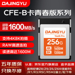 DAJINGYU 大鲸鱼cfexpress存储卡 CFE-B影像卡CFE Type B 高速相机内存卡 CFB卡 -256GB