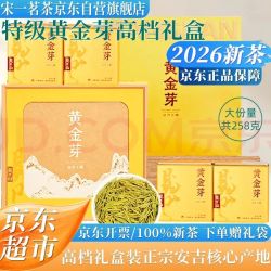 宋一 茶叶礼盒安吉白茶黄金芽绿茶特级2026新茶礼盒装258g