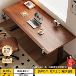 SAMEDREAM 三梦 S300 实木电动升降桌 100x60x75cm 灰色龙纹网