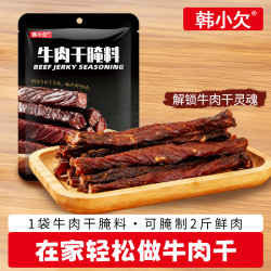 韩小欠 牛肉干腌制料 风干家用自制 五香手撕牛肉鸡肉猪肉干腌料