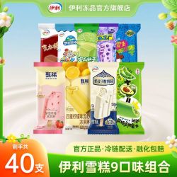 伊利 雪糕大布丁甄稀草莓柠檬流心毛豆牛油果小雪生冰淇淋