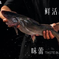 吊水江团+非遗全红锅