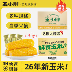 玉小胖 吉林四平玉米黄糯玉米净重2.5kg整箱8/10根