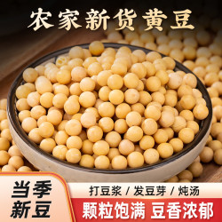 味妃 黄豆农家自产新货黄豆颗粒饱满精选黄豆打豆浆专用黄豆多规格可选