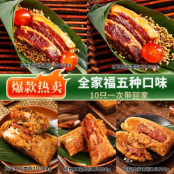 吴越斋 嘉兴口味肉粽全家福250g*10只手工营养咸蛋黄早餐速食
