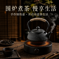 八千行 铁壶煮茶壶烧水壶泡茶专用碳火炉电陶炉器具户外铸铁茶壶围炉煮茶