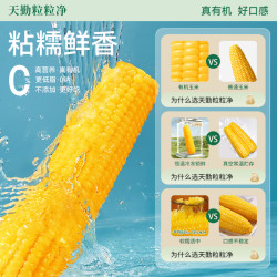 天勤粒粒净 有机非转基因铝箔黄甜糯玉米早餐粗粮饱腹苞米230g