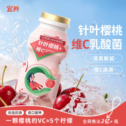 宜养 针叶樱桃乳酸菌饮品清爽夏日100g*20瓶
