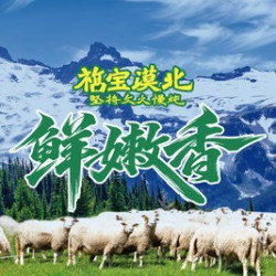 漠北羔羊小串