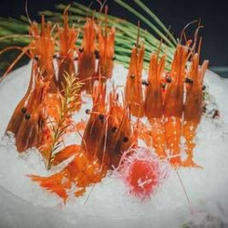 夏季限定·双人牡丹虾/蓝鳍金枪鱼大腹套餐（需提前电话预约）