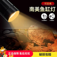 阔庭 鱼缸灯变焦南美射灯溪流缸观赏灯雷龙照明灯LED水族家用鱼缸灯