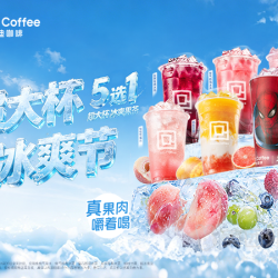 冰爽果茶五选一兑换券·1张 1次券