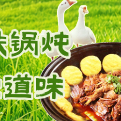 顿炖香铁锅炖 ［都可提前炖］东北大鹅锅（3-4人）
