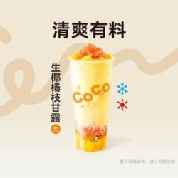 经典生椰杨枝甘露大杯
