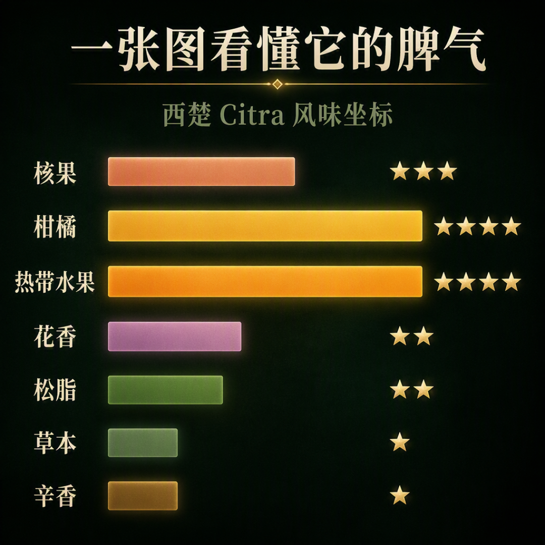 西楚 风味坐标