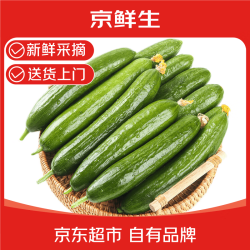 京鲜生 新鲜 水果黄瓜  1000-2499g