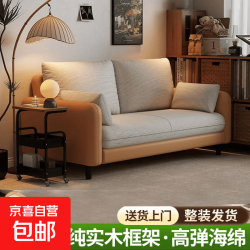 京喜 小户型轻奢简约复古风沙发客厅卧室公寓出租房直排沙发  大双人位