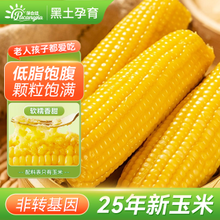 蒲仓佳 东北黄甜糯玉米黏玉米 真空锁鲜软糯拉丝 粗粮主食早餐代餐 甜糯玉米4.2斤（7-10根）
